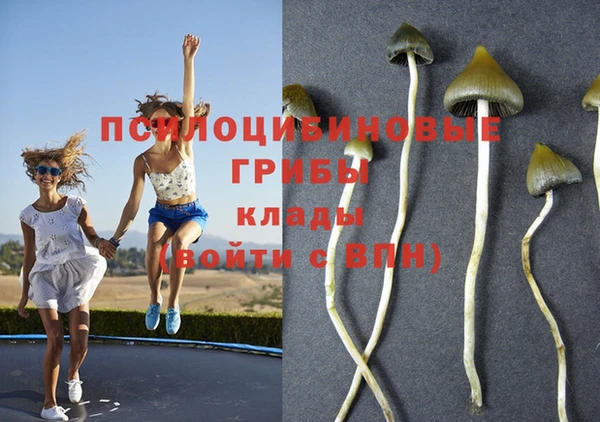 бутират Бронницы