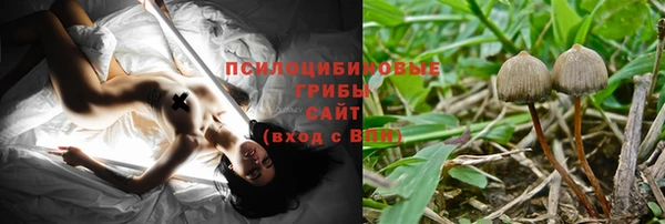 дмт Бугульма