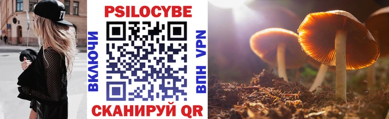 Псилоцибиновые грибы GOLDEN TEACHER  Зима 
