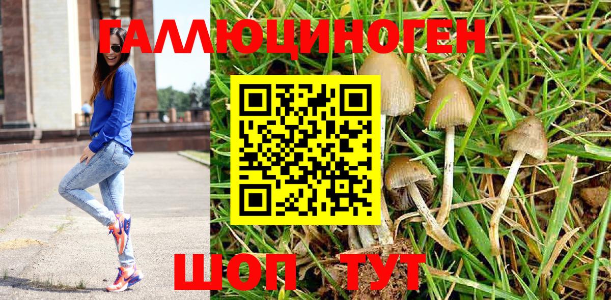 Галлюциногенные грибы Magic Shrooms  Вход с VPN  Галлюциногенные грибы GOLDEN TEACHER  Зима 